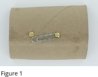 Cut the cardboard tube