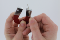 Rub from the middle to the pointed