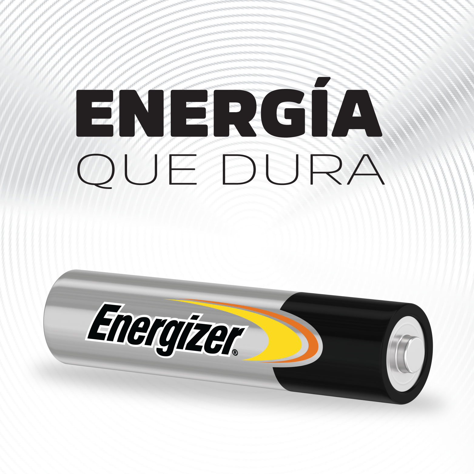 ENR ALKLINE Power That Lasts