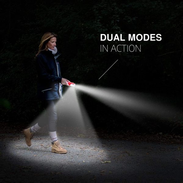 Energizer WeatherReady Floating Handheld LED Light, 100 Lumen